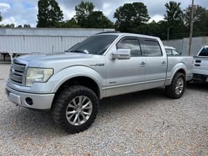 2011 Ford F-150 Image