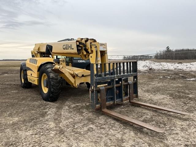 Image of Gehl DL11-55 equipment image 3
