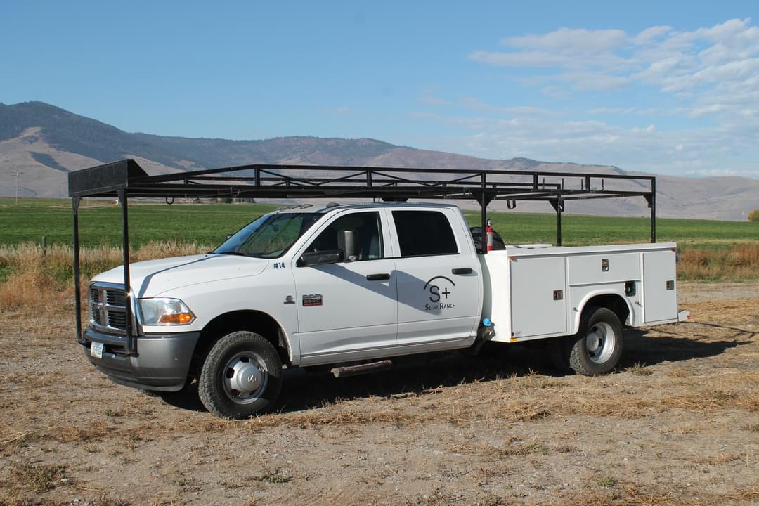 Image of Dodge Ram 3500 Primary image
