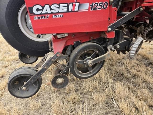 Image of Case IH 1250 equipment image 2