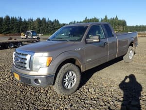 2012 Ford F-150 Image