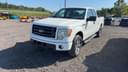 2012 Ford F-150 Image