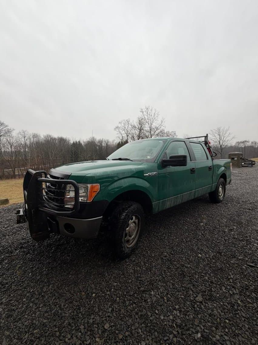 Image of Ford F-150 Primary image