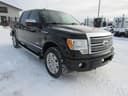 2012 Ford F-150 Image