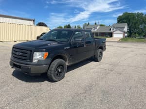 2012 Ford F-150 Image