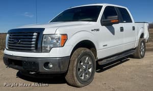 2012 Ford F-150 Image
