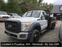 2012 Ford F-550 Image