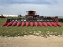 2012 Geringhoff RD1230F Image