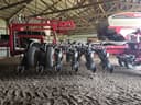 2012 Massey Ferguson 8800 Image