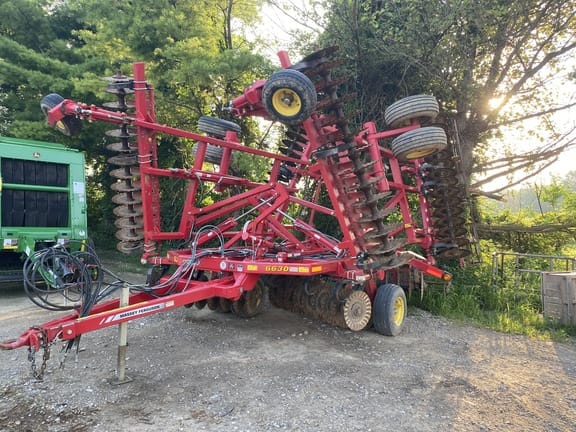 Main image Sunflower 6630