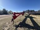 2012 Wheatheart SA1081 Image