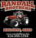 2013 Case IH Magnum 260 Image