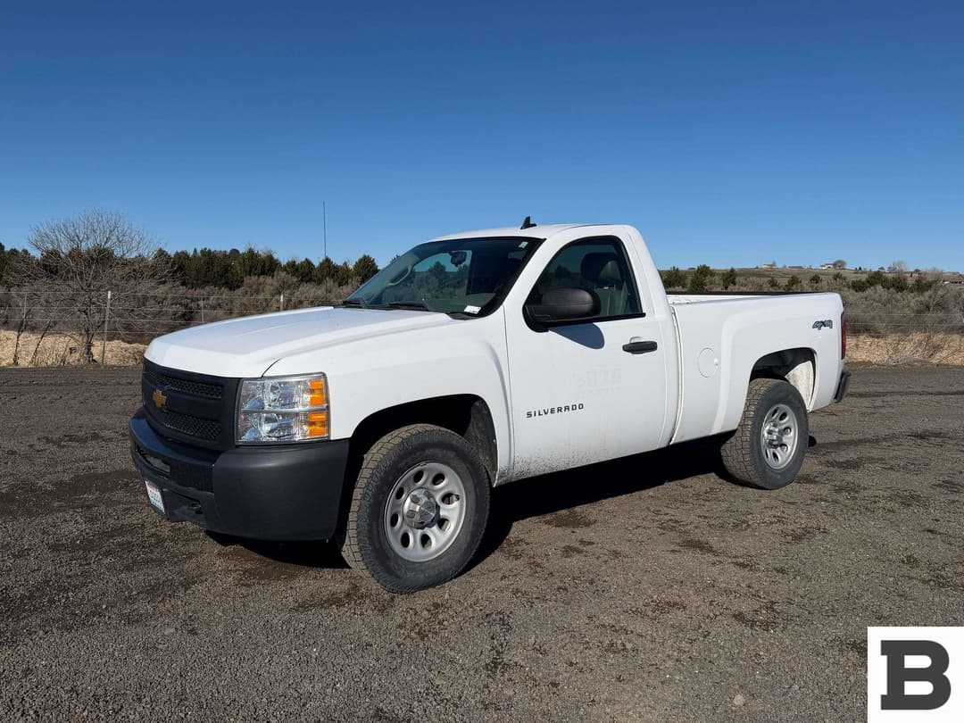 Image of Chevrolet 1500 Primary image