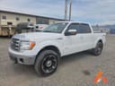 2013 Ford F-150 Image