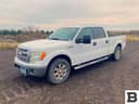 2013 Ford F-150 Image