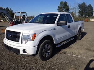2013 Ford F-150 Image