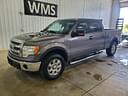 2013 Ford F-150 Image