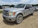 2013 Ford F-150 Image