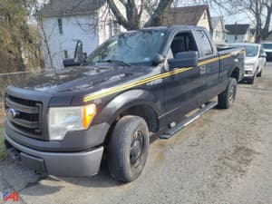 2013 Ford F-150 Image