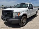 2013 Ford F-150 Image