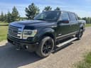 2013 Ford F-150 Image