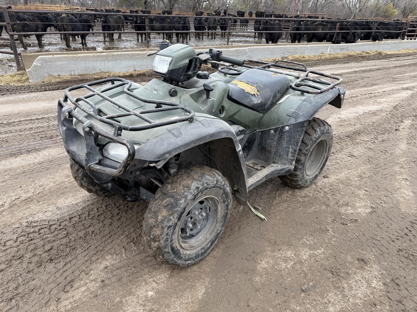 Main image Honda Fourtrax 500