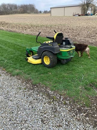 Image of John Deere Z445 equipment image 2