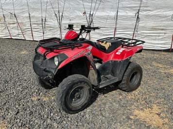 Main image Kawasaki Brute Force 300