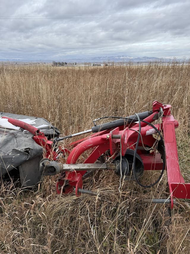 Image of Massey Ferguson 1330 equipment image 3