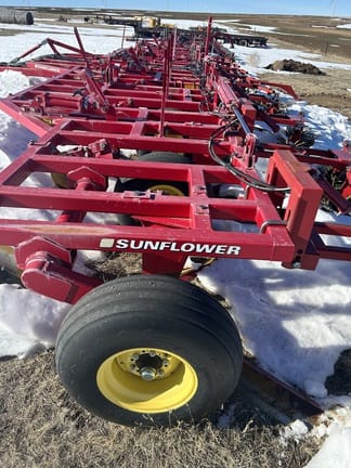 Main image Sunflower 3392