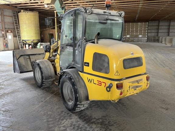 Image of Wacker Neuson WL37 equipment image 3