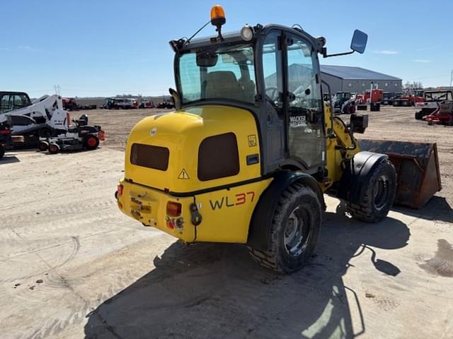 Image of Wacker Neuson WL37 equipment image 4