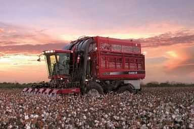 Cotton Pickers/Strippers