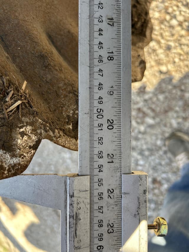 Image of Case IH 335VT equipment image 3