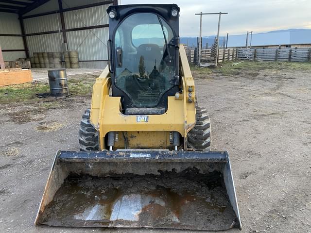 Image of Caterpillar 236D equipment image 3