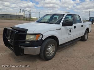 2014 Ford F-150 Image