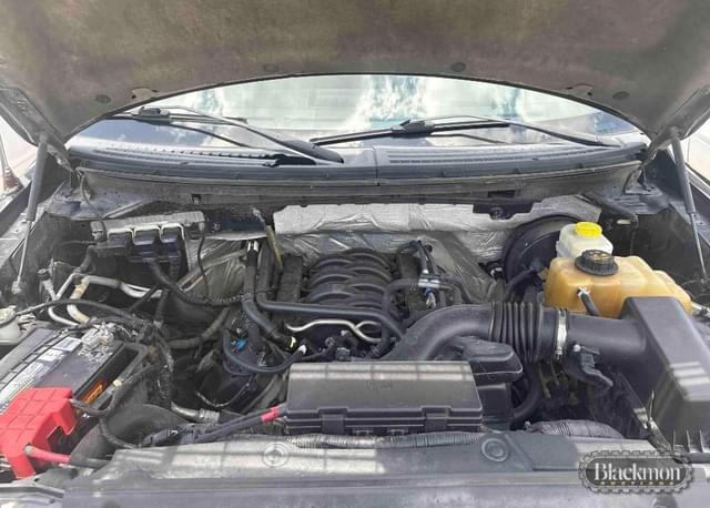 Image of Ford F-150 equipment image 4