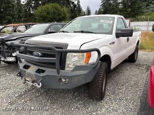 2014 Ford F-150 Image