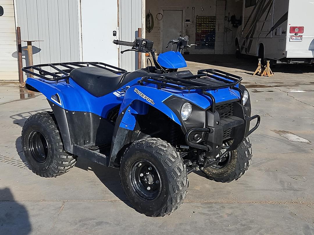 Image of Kawasaki Brute Force 300 Primary image