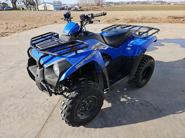 Image of Kawasaki Brute Force 300 equipment image 2