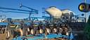 2014 Kinze 3600 Image