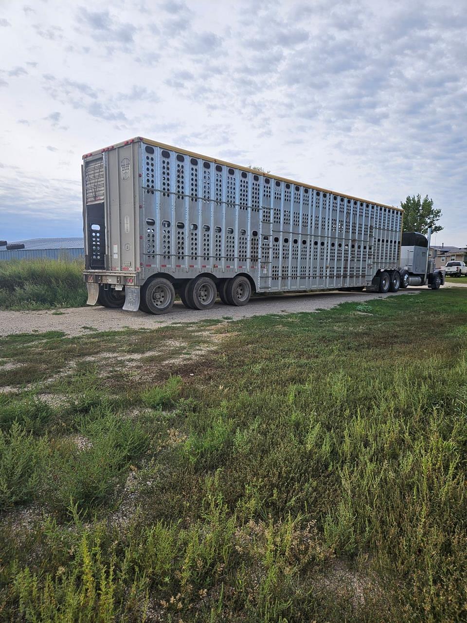 Image of Merritt Cattle Pot Primary image