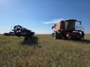 2015 Case IH 8240 Image