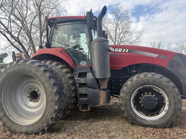 Image of Case IH Magnum 250 equipment image 4