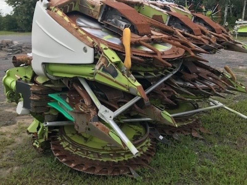 2015 CLAAS Orbis 900 Image