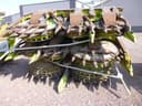 2015 CLAAS Orbis 900 Image