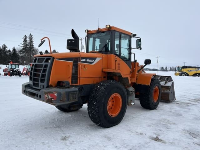 Image of Doosan DL250 equipment image 4