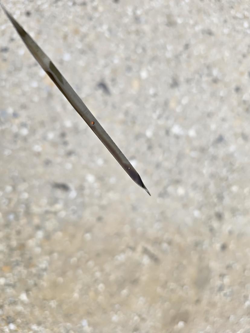 test