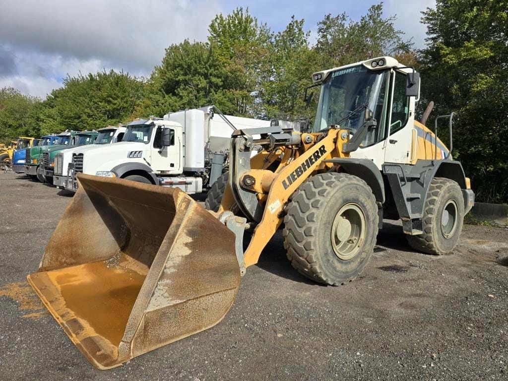 2015 Liebherr 542 Equipment Image0