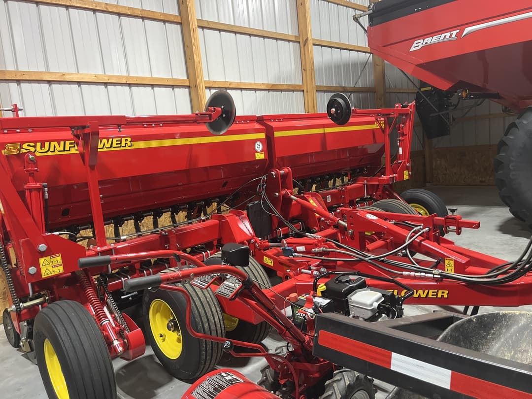 Image of Sunflower 9413-15 Primary image